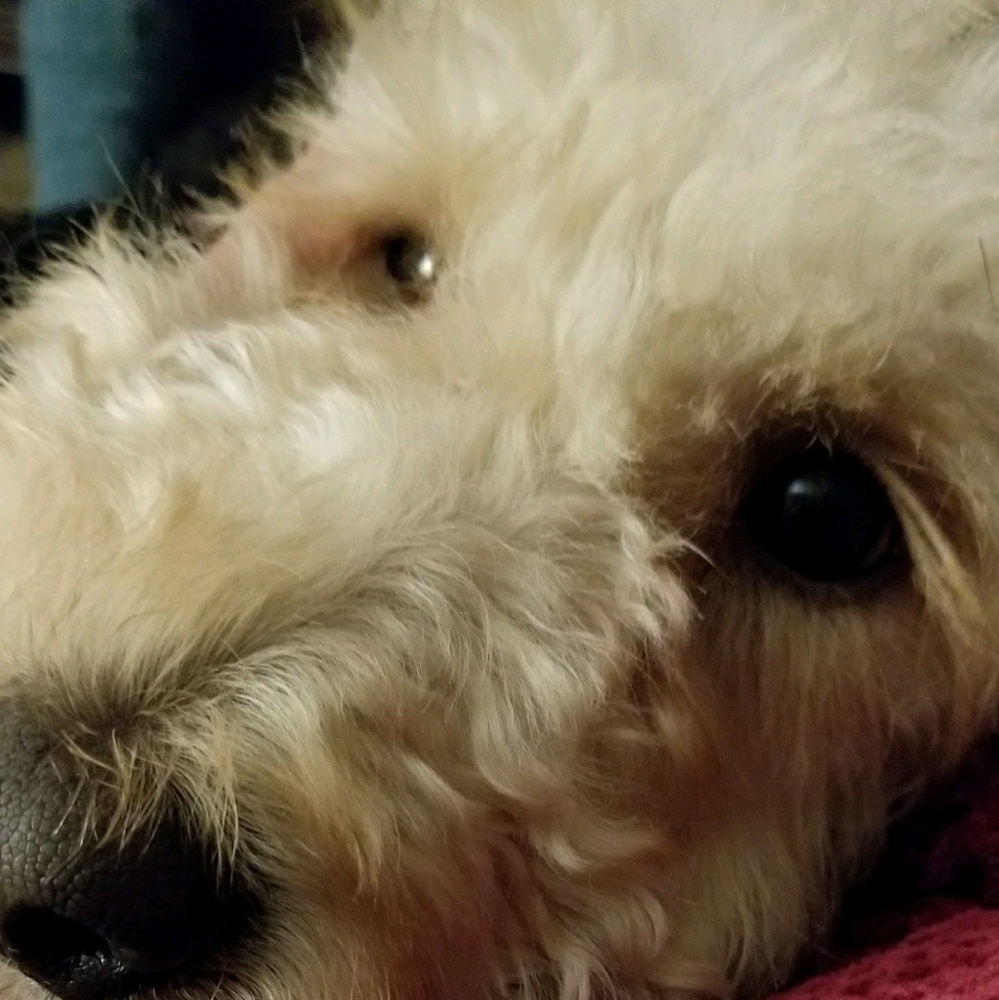 Meet your Posher, Ruth